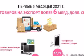 Первые 5 месяцев 2021 г. 6 товаров на экспорт более 6 млрд. долл. США