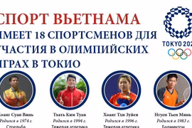 Спорт Вьетнама меет 14 спортсменов для участия в Олимпийских играх в Токио.
