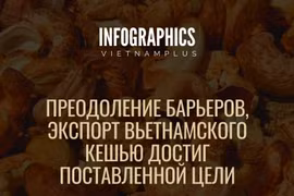 Преодоление барьеров, экспорт вьетнамского кешью достиг поставленной цели