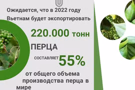Вьетнам остается крупнейшим в мире производителем и экспортером перца