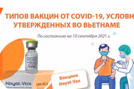 7 типов вакцин от COVID-19, условно утвержденных во Вьетнаме