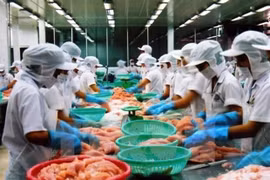 Рабочие компании Vinh Hoan перерабатывают морепродукты на экспорт (Фото: ВИА)