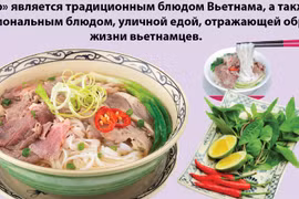 Вьетнамский фо - конвергенция квинтэссенции