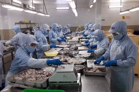 Переработка замороженных креветок на экспорт в компании Thong Thuan Cam Ranh Seafood в провинции Кханьхоа (Фото: ВИА) 