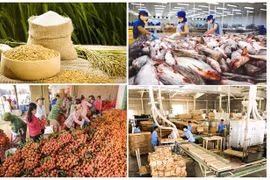 Экспорт сельскохозяйственной, лесной и рыбной продукции за первые семь месяцев 2023 года составил 29,13 млрд. долл. США. (Фото: vneconomy.vn )