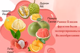  5 видов фруктов были экспортированы в Великобританию
