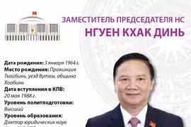 Заместитель председателя Национального собрания (НС) Нгуен Кхак Динь