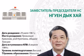 Заместитель председателя Национального собрания (НС) Нгуен Дык Хай