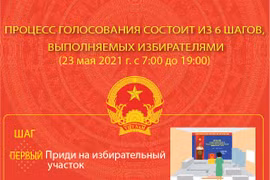 Процесс голосования состоит из 6 шагов, выполняемых избирателями