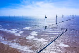 Ветряная электростанция Dong Hai I Wind Power Plant, Чaвинь. (Фото: ВИА)