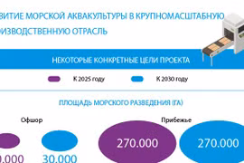 Развитие морской аквакультуры в крупномасштабную производственную отрасль