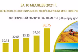 ЗА 10 МЕСЯЦЕВ 2021 Г. ЭКСПОРТ СЕЛЬСКОГО, ЛЕСНОГО И РЫБНОГО ХОЗЯЙСТВА УВЕЛИЧИЛСЯ БОЛЕЕ ЧЕМ НА 13%