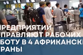 8 предприятий отправляют рабочих на работу в 4 африканские страны