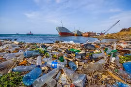 Запущен проект по дальнейшему сокращению количества морских пластиковых отходов. - Иллюстративное изображение (Фото: ВИА)