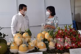 Высокотехнологичная сельскохозяйственная продукция была представлена на конференции по привлечению инвестиций в сельскохозяйственный сектор провинции Бариа-Вунгтау. (Фото: ВИА)