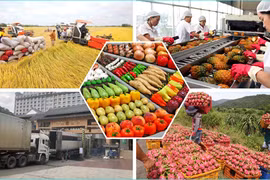 За 2 месяца 2024 г. экспорт сельскохозяйственной, лесной и рыбной продукции достиг почти 10 млрд. долл. США