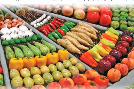 За 9 месяцев 2021 г. экспорт основных сельскохозяйственных продуктов резко увеличился
