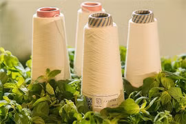 Ткани из натуральных продуктов занимают лидирующие позиции в в текстильной и швейной промышленности. (Фото congthuong.vn) 