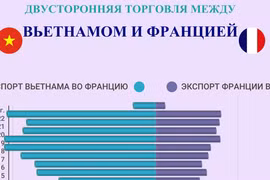 Двусторонняя торговль между Вьетнамом и Францией