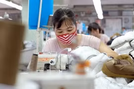 Каждой малой фирме будет предоставлено от 20 до 50 млн. донгов (870-2.180 долл. США) из государственного бюджета в год (Фото: VCCI). 