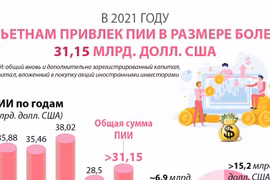 Вьетнам привлек ПИИ в размере более 31,15 млрд. долл. США в 2021 году