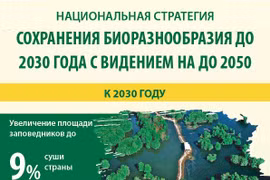 Утверждена национальная стратегия сохранения биоразнообразия до 2030 года