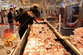 Вьетнам импортировал около 70.000 тонн свинины и продуктов из нее за первые 6 месяцев 2021 года (Источник: ВИА)