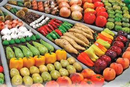 6 месяцев 2022 г. экспорт сельскохозяйственной, лесной и рыбной продукции достиг 27,8 млрд. долл. США