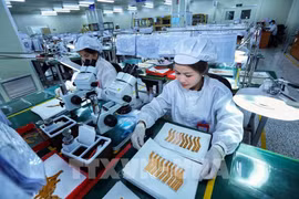 В 2023 году чило вновь созданных предприятий достигло рекордного уровня