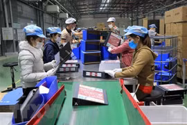 Трудящиеся работают в компании Deli Vietnam в индустриальном парке Йенфонг провинции Бакнинь. (Фото: ВИА) 