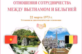 Отношения сотрудничества между Вьетнамом и Бельгией