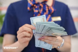 Иллюстративное изображение. Обменный курс VND/USD испытывает значительные колебания с начала этого года (Фото: VietnamPlus)