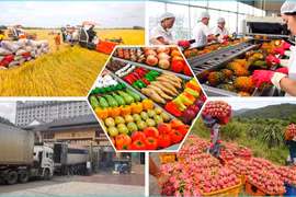  Экспорт сельскохозяйственной, лесной и рыбной продукции превысил годовой показатель за 11 месяцев 2024 г. 