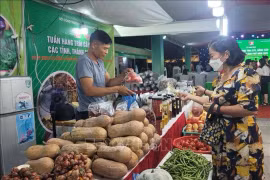 На ярмарке представлены сельскохозяйственные продукты и региональные деликатесы (Фото: ВИA)