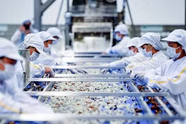Ближний Восток - перспективный рынок для вьетнамских морепродуктов (Фото: moit.gov.vn)