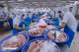 Рабочие обрабатывают рыбные продукты для экспорта (Фото: VietnamPlus)