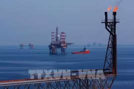На нефтяном месторождении Батьхо (Фото: ВИА) 