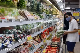 Покупатель в супермаркете Co.opmart в Ханое . (Фото: ВИA)