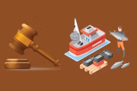 Чтобы снять желтую карточку ЕС: Строгое наказание за нарушения в соответствии с новыми правилами
