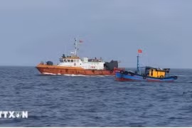 Власти проверяют работу рыболовных судов в море. (Фото: ВИA)