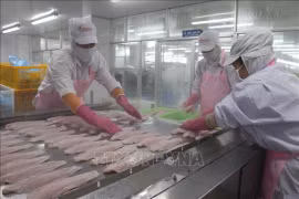Экспорт рыбных продуктов Вьетнама в первом полугодии достиг 4,4 миллиарда долларов США (Фото: ВИA)