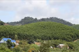 С середины 2000-х годов многие предприятия развернули программы и проекты по углеродным кредитам. (Фото: ВИА) 