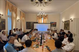 Встреча министра науки и технологий Хюинь Тхань Дат с учеными и представителями интеллигенции вьетнамского происхождения в Германии 26 июня. (Фото: ВИA)
