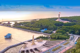 Характерные ценности Всемирного биосферного заповедника мыса Камау