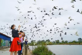Туристы на туристическом острове Бау в городе Хайфон. (Фото: ВИA)