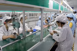 Около 92% рабочих возвращаются к работе после праздника Тэт. (Фото: ВИА) 