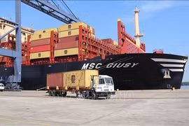 Контейнеровоз MSC Giusy валовой вместимостью более 170 000 тонн пришвартовался в глубоководном порту SSIT в комплексе Каймеп-Тхи Вай, южная провинция Бариа-Вунгтау, 11 апреля.(Фото: ВИА) 
