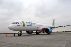Самолет Bamboo Airways (Источник: ВИА)