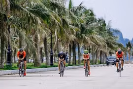 Прошлогодние соревнования по триатлону Tuan Chau Sunset Bay. (Фото: sunsetbaytriathlon.vn)
