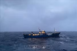 Российское судно “СОКОЛ” с 6 членами экипажа на борту и водоизмещением в 1000 тонн дрейфовало по течению у побережья Вьетнама после того, как 7 декабря вышел из строя двигатель (Фото: ВИА)